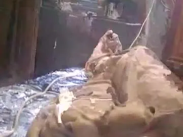 1414saleem preview thumbnail