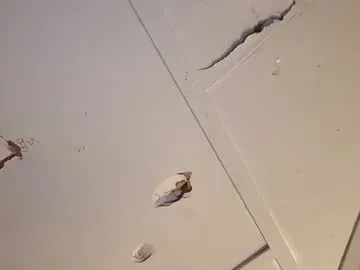 4j_n preview thumbnail