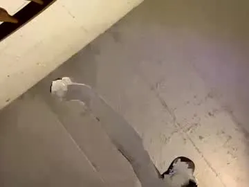 Animefan1872 preview thumbnail