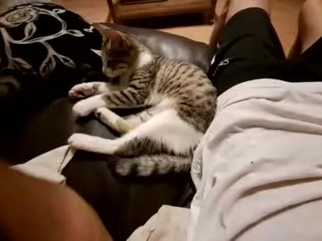 Ankuld preview thumbnail