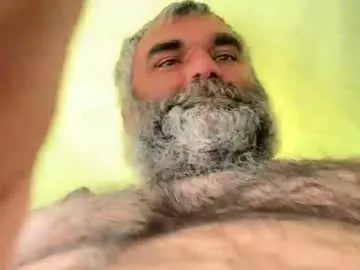 Arturdivus preview thumbnail