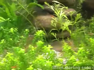 Booker_baxton live cam preview