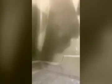 Bpharrel34 preview thumbnail