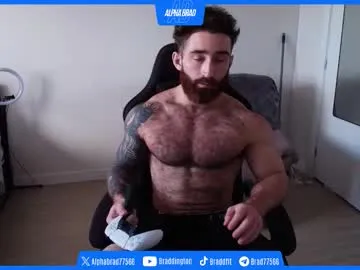 Bradtrainn preview thumbnail