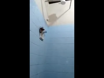 Cerbantes351 preview thumbnail