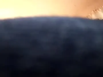 Dannowisc preview thumbnail