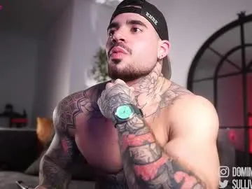 Dominic_sullivan1 live cam preview
