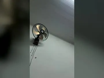 Felipe9212 live cam preview