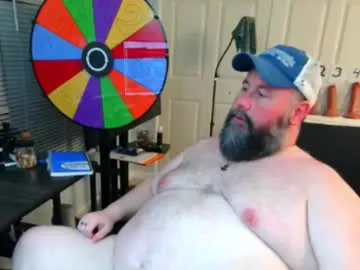 Floridabearlive preview thumbnail