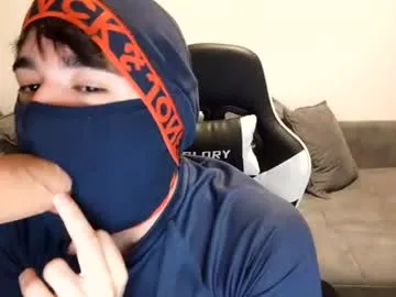 Fox_maxini preview thumbnail