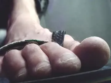 Fredthetom12 preview thumbnail