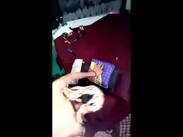 Isaldatrans preview thumbnail