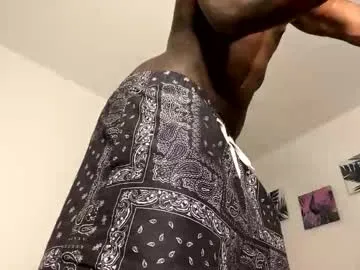 Janstallionx preview thumbnail