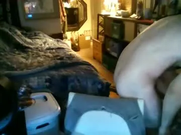 Jimmystippp live cam preview