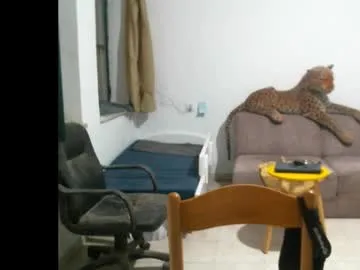 Jlmbud preview thumbnail