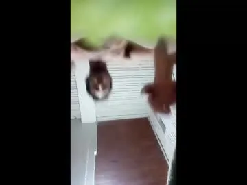 Joce2901 live cam preview