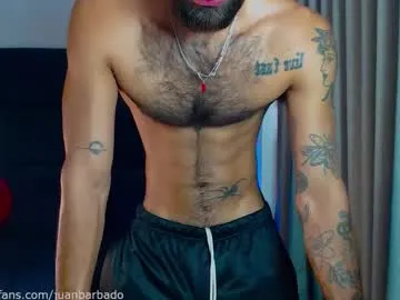 Juanbarbado preview thumbnail