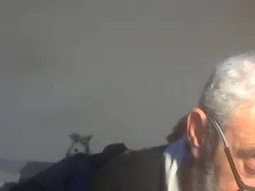 Leccofigamestruata preview thumbnail