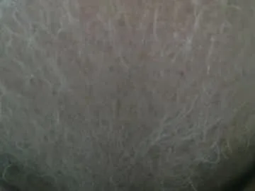 Littletom69416498 preview thumbnail