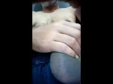 Moreno_gatto preview thumbnail