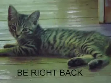 Mvptwig420 preview thumbnail