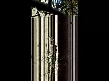 Nacholivre69 preview thumbnail
