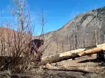 Nakedcabinlife preview thumbnail