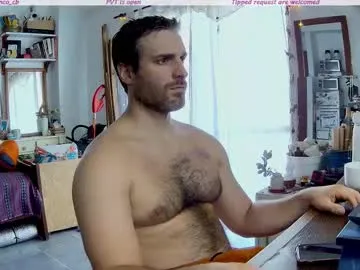 Osito_blanco preview thumbnail