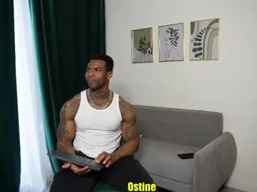 Ostine_brown preview thumbnail