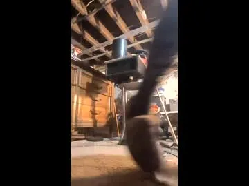 Paint_naked preview thumbnail