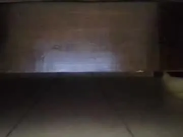 Persigarzia preview thumbnail