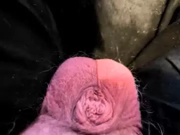 Petrol63102 preview thumbnail