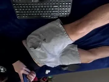 Pincevince preview thumbnail