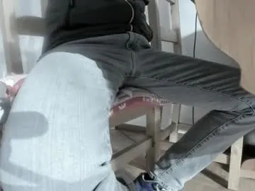 San_druide preview thumbnail