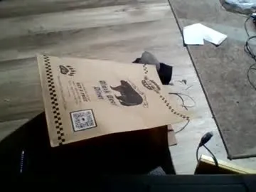 Santa_clause12345 preview thumbnail