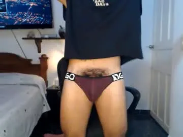 Sebferrer preview thumbnail