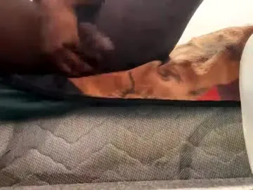 Spin_ preview thumbnail