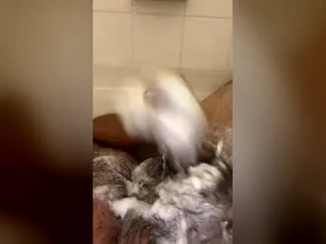 Starlordrize preview thumbnail