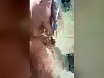 The_alpha_male501 preview thumbnail