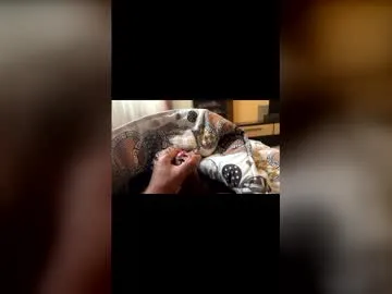 Tmg13 preview thumbnail