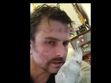 Truckguitar preview thumbnail