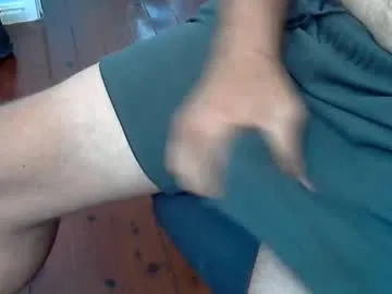 Turvey live cam preview