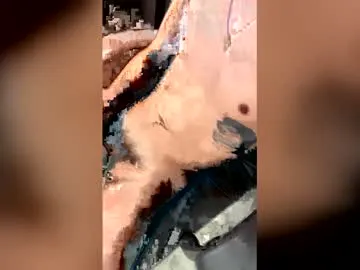 Versa1212 preview thumbnail