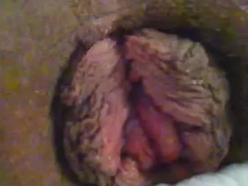 Wheelst12 preview thumbnail